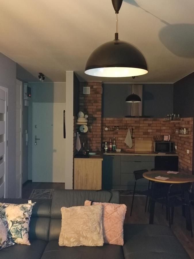 LUX Apartament ODKRYJ - BIESZCZADY Ustrzyki Dolne Zewnętrze zdjęcie