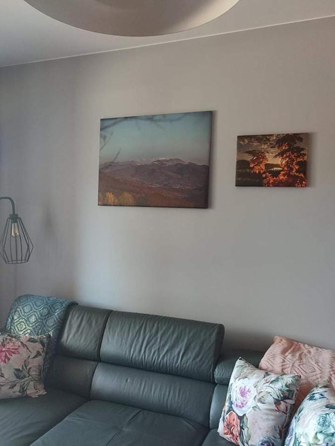 LUX Apartament ODKRYJ - BIESZCZADY Ustrzyki Dolne Zewnętrze zdjęcie